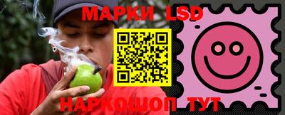 гашик Камышлов