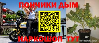 гашик Камышлов