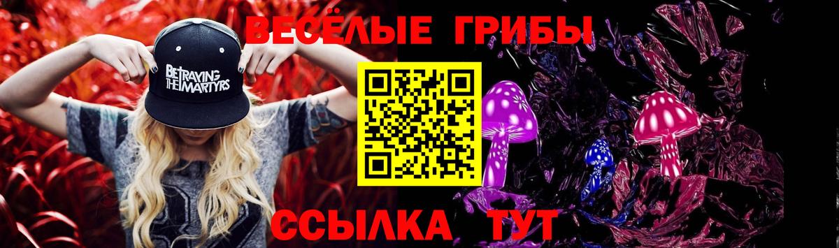 Галлюциногенные грибы Psilocybine cubensis  Галлюциногенные грибы MAGIC MUSHROOMS  Коряжма  Вход с VPN 