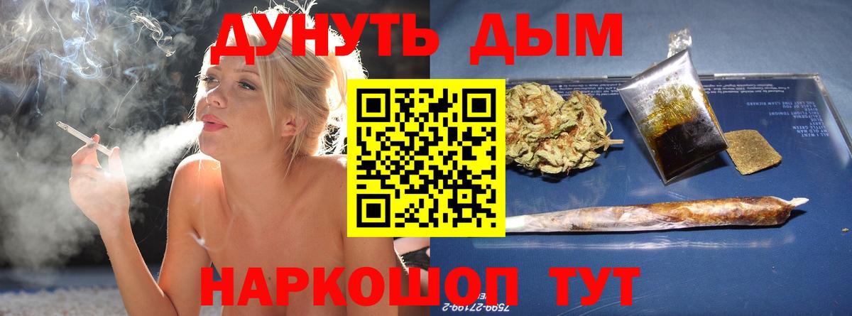 Канабис план Коряжма